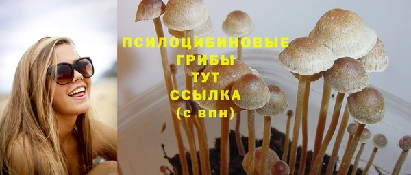 кристаллы Горняк