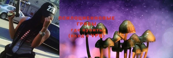 ПСИЛОЦИБИНОВЫЕ ГРИБЫ Беломорск