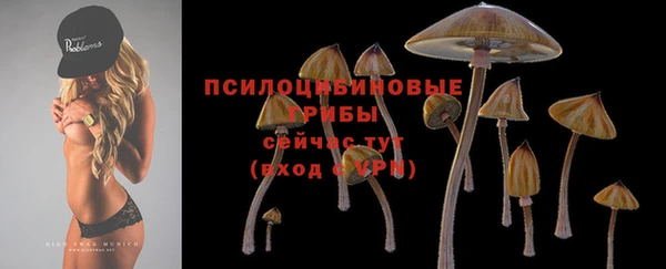 ПСИЛОЦИБИНОВЫЕ ГРИБЫ Беломорск
