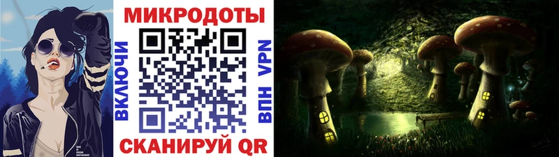 где купить наркоту  Горячеводский  Псилоцибиновые грибы Psilocybe 